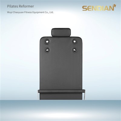 Control Back Reformer